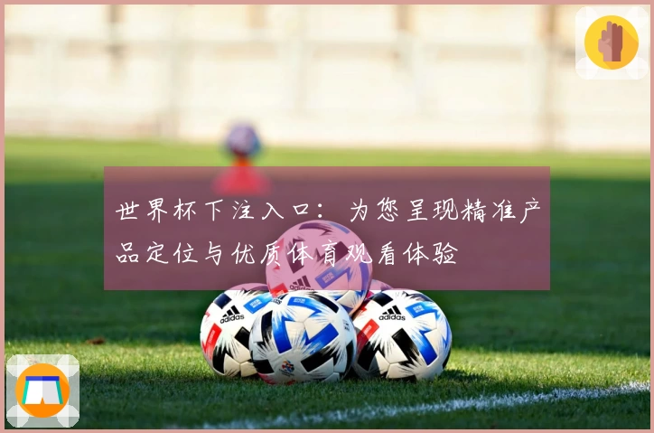 世界杯下注入口：为您呈现精准产品定位与优质体育观看体验