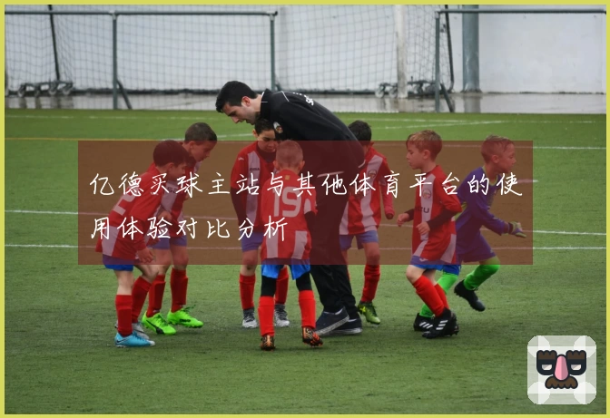 亿德买球主站与其他体育平台的使用体验对比分析