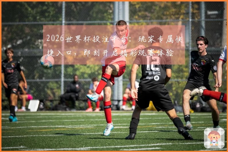 2026世界杯投注平台：玩家专属快捷入口，即刻开启精彩观赛体验