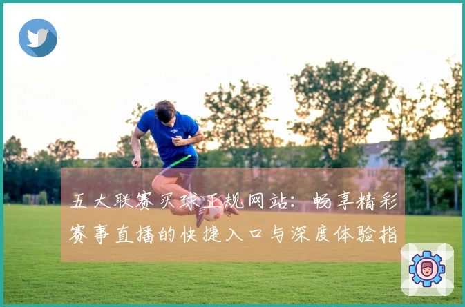 五大联赛买球正规网站：畅享精彩赛事直播的快捷入口与深度体验指南