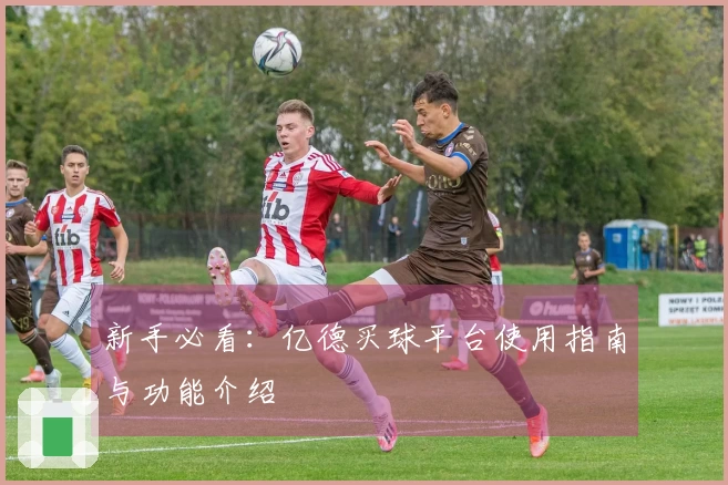 新手必看：亿德买球平台使用指南与功能介绍