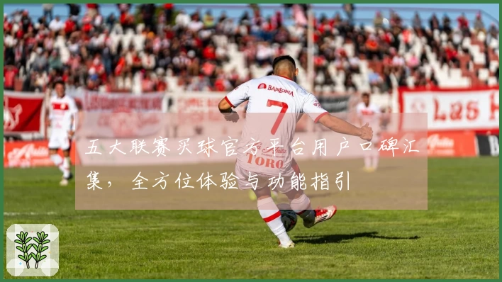 五大联赛买球官方平台用户口碑汇集，全方位体验与功能指引